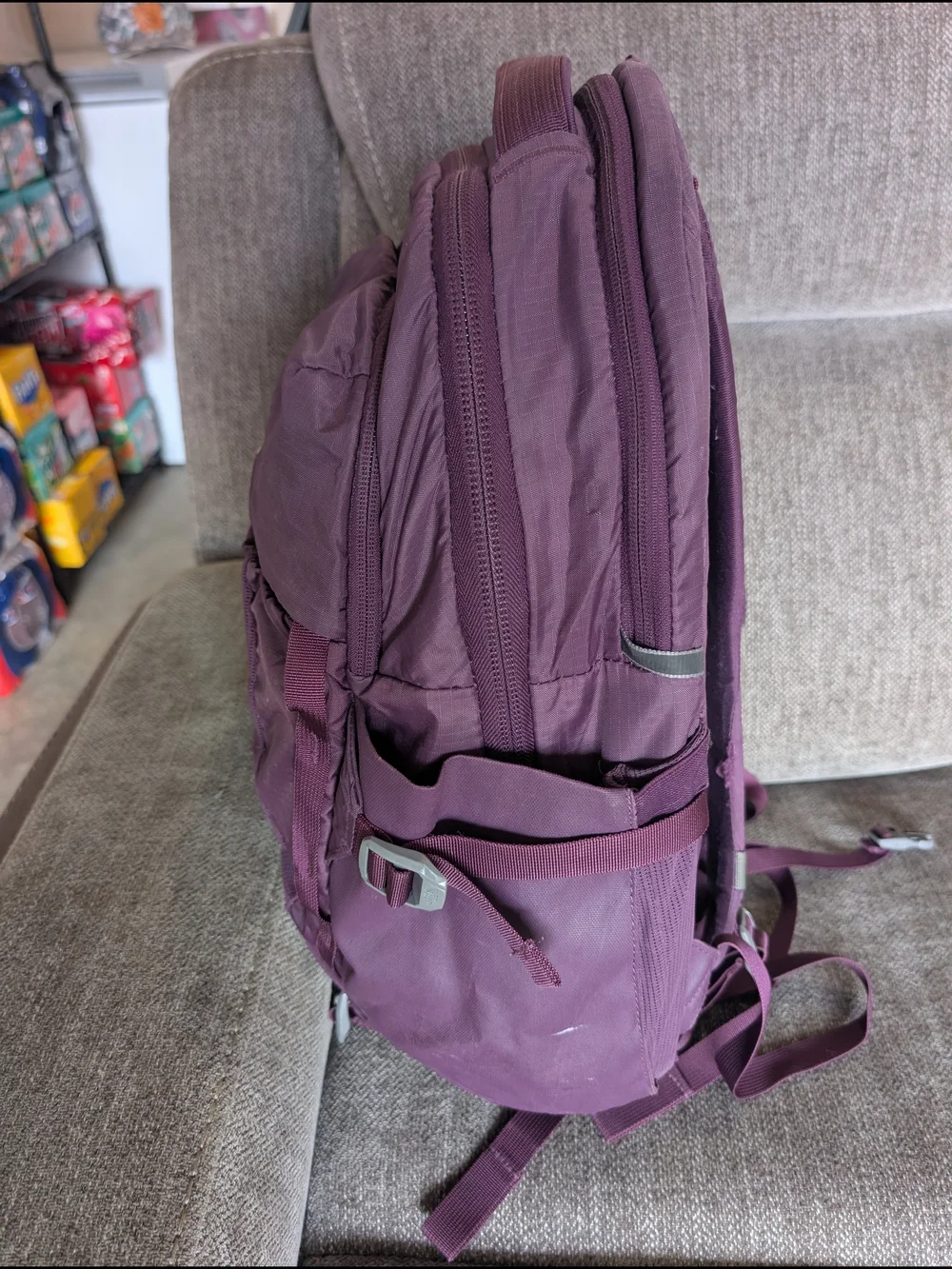 The North Face Purple Backpack